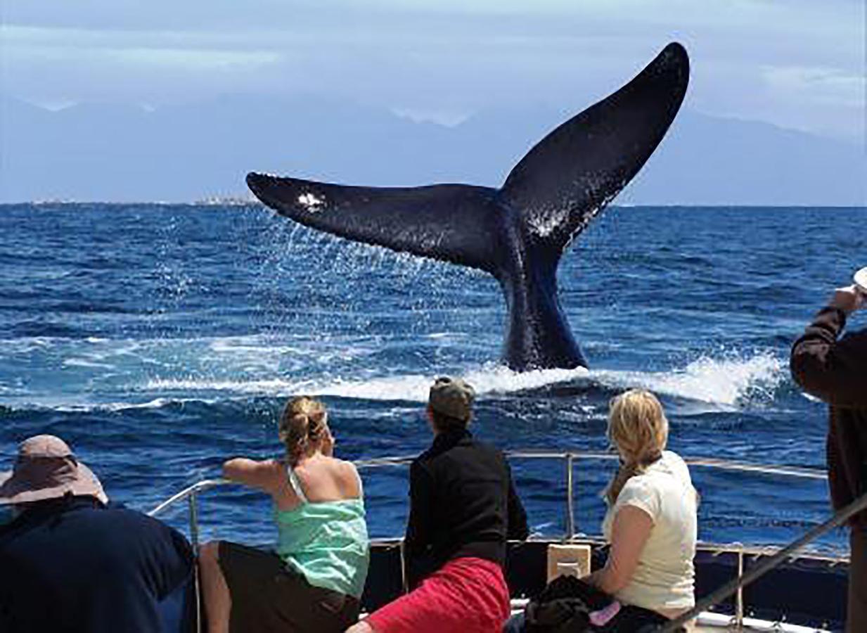Fish Hoek Whale Watchers Apartments 外观 照片